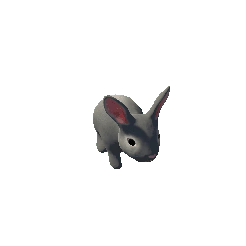 Rabbit 5